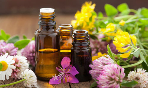 What do We Know About Essential Oils and Herbs